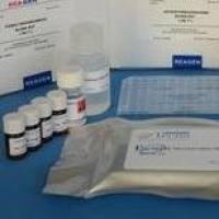 小鼠（Mouse）末端补体复合物C5b-9（TCC C5b-9） ELISA检测试剂盒