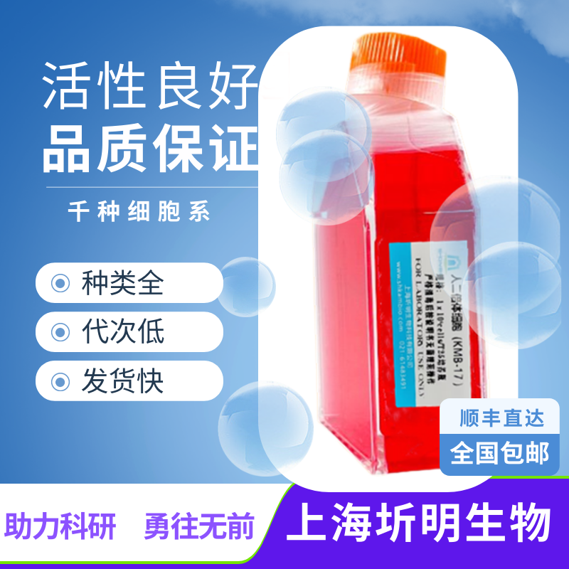 小鼠神经元细胞;NSC-34细胞