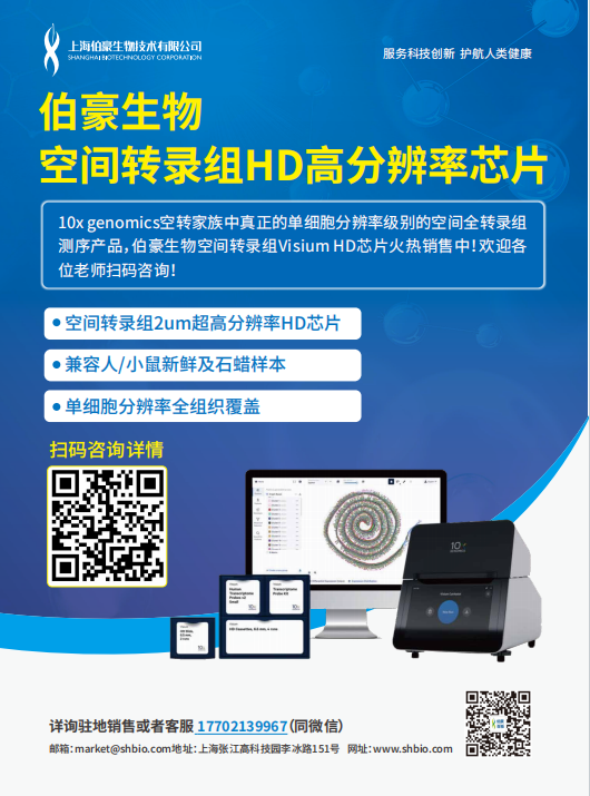 空间转录组HD芯片
