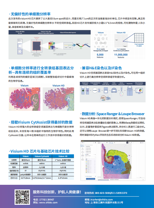 空间转录组HD芯片