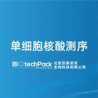 单细胞核酸测序