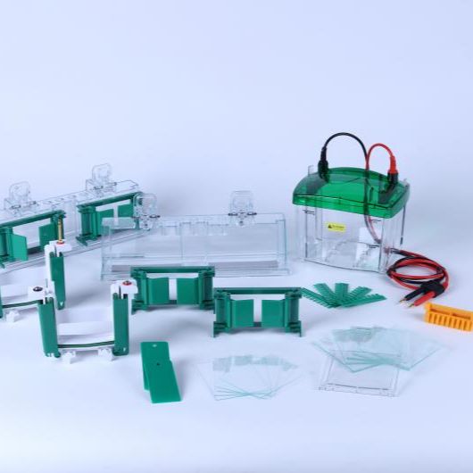 moredrop 小型垂直电泳槽（KP8001）