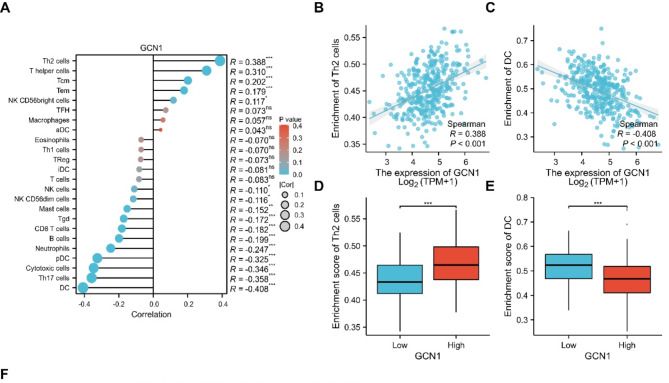 IF:5.3，多数据库联动+单基因+预后结合实验验证分析GCN1在肝细胞癌中的靶点机制！
