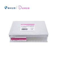 DL-JM108 Chemically Competent Cell-96B100