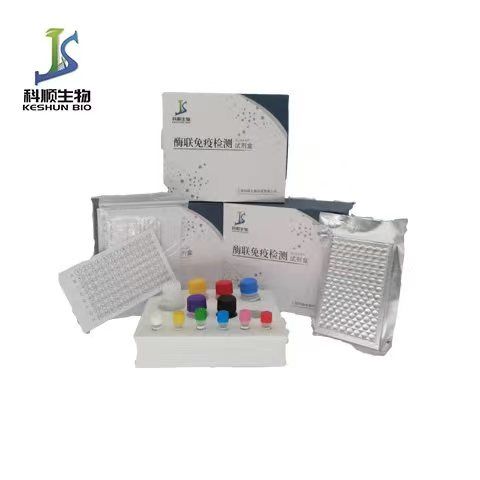 植物烟酸腺嘌呤二核苷酸磷酸(NADPH)ELISA检测试剂盒