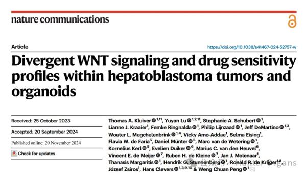 Nat Commun | 肝母细胞瘤及其类器官的WNT信号和药物敏感性特征