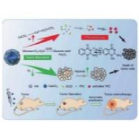 碳酸钙纳米颗粒包裹葡萄糖氧化酶和替拉帕扎明 CaCO3 NPs@GOD/TPZ