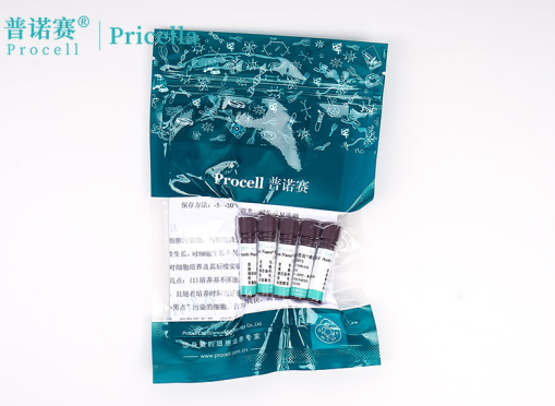 Anti-Nano“黑胶虫”清除试剂(200×)：科研细胞培养污染终结者