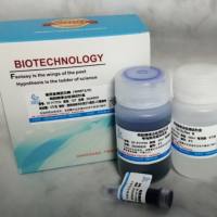 明胶酶谱检测试剂盒(测MMP2,MMP9,前体)