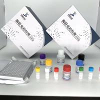 植物Snf1相关蛋白激酶(SnRK1)ELISA检测试剂盒