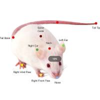 AI三箱社交精细行为分析系统