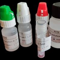 β-内啡肽(bEP)卵白蛋白偶联物,小鼠