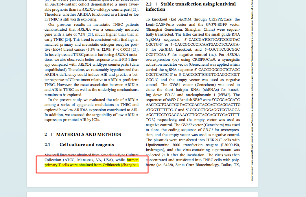 CD4+T细胞 | CD4 分离服务 | 人CD4细胞 |