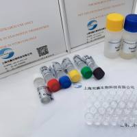 牛免疫球蛋白G抗体（IgG-Ab）ELISA试剂盒