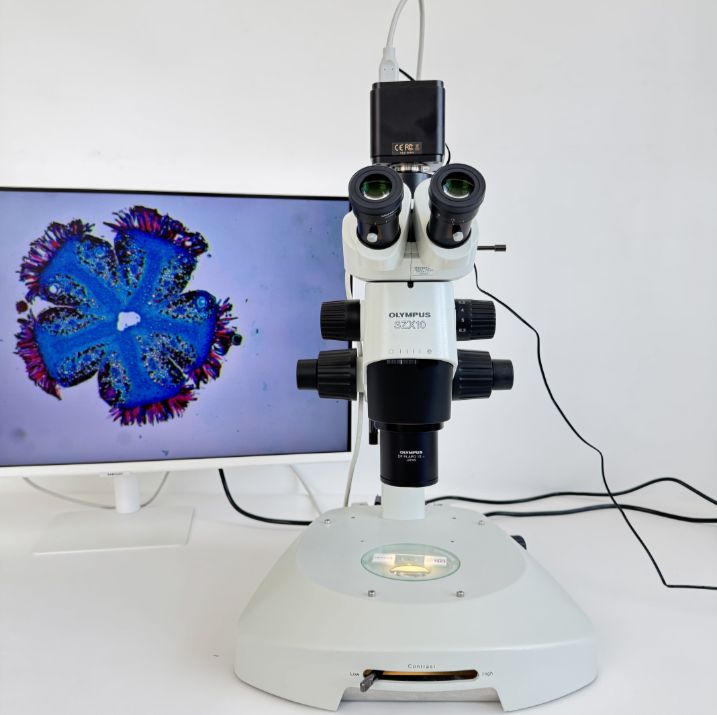 二手OLYMPUS 奥林巴斯SZX10体式显微镜带一年质保承接维修维保项目