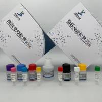 植物端粒酶因子活化蛋白(TFAP)ELISA检测试剂盒