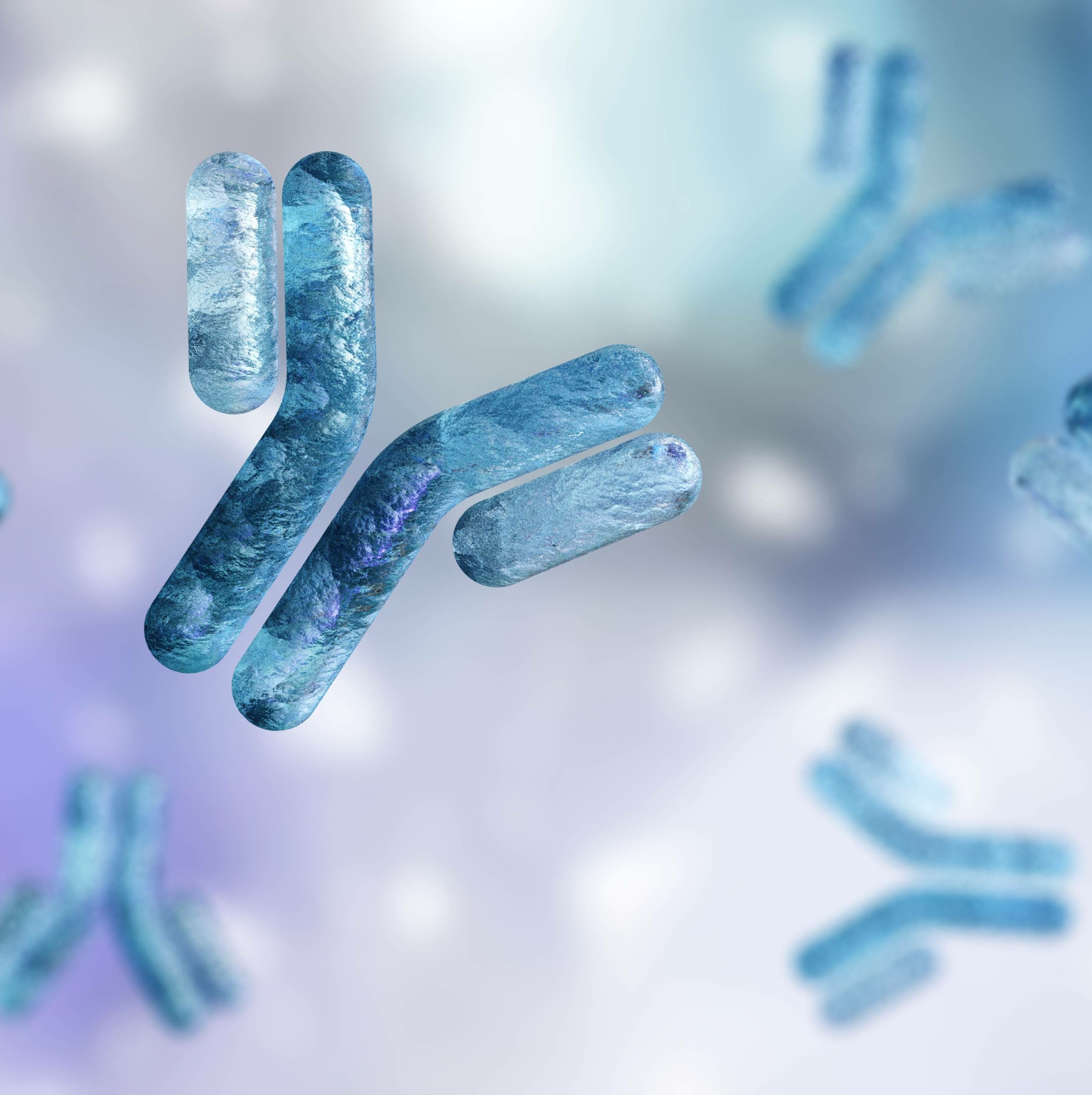 重组抗体生产服务