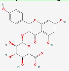 22688-78-4，莰菲醇葡萄糖醛酸苷，Kaempfero