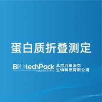 蛋白质折叠测定