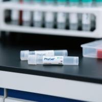 己烷雌酚单克隆抗体;己烷雌酚抗体;Hexestrol(HES)抗体;己烷雌酚抗原