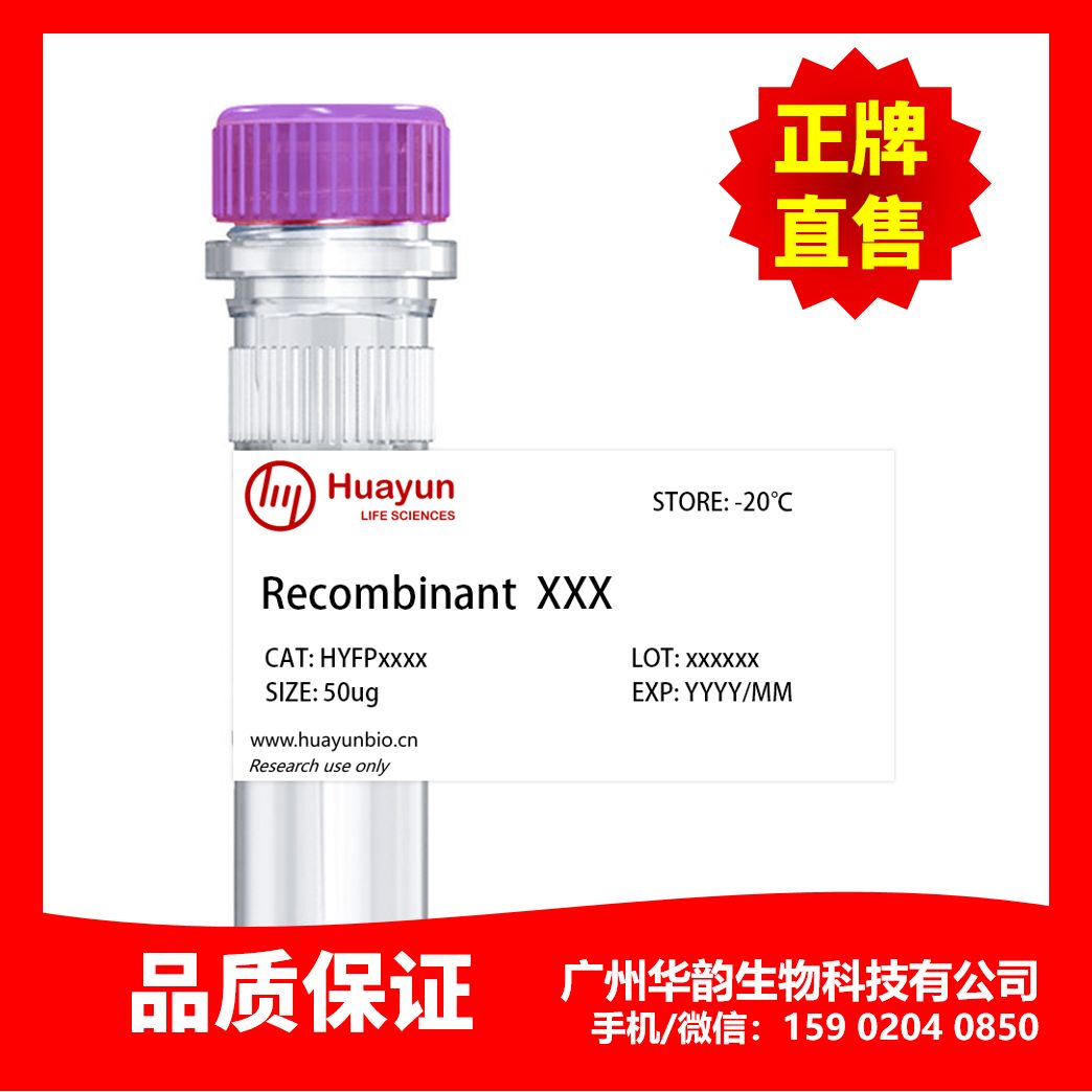 Recombinant Rat GRO gamma重组蛋白，HYFP6344-50ug