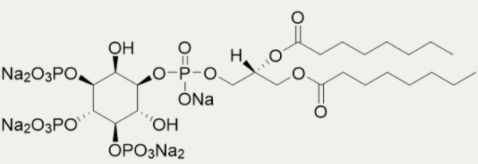[干冰]磷脂酰肌醇(3,4,5)三磷酸二辛酯(PI(3,4,5)P3 diC8)低价抢