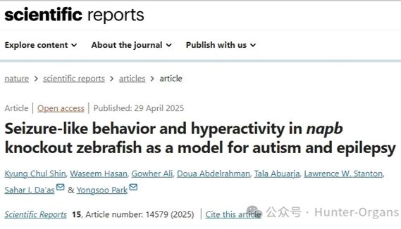Sci. Rep.丨斑马鱼自闭症及癫痫模型，可用于NAPB基因相关疾病机制探究