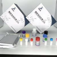 植物盐转运三磷酸腺苷酶抗体(ASNA1-Ab)elisa试剂盒