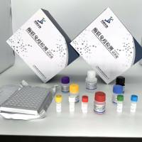 植物吲哚-3丁酸(IBA)elisa试剂盒