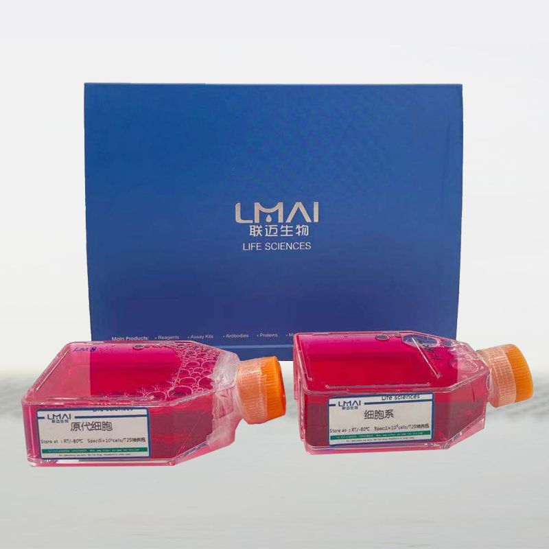 SK-N-FI(人神经母细胞瘤细胞)