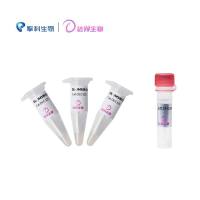 DL-TOP10 Chemically Competent Cell