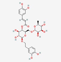 连翘酯苷A(连翘脂苷A) Forsythiaside A，7