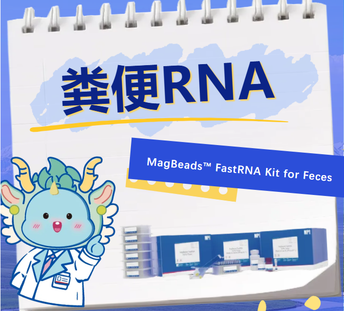 新品上市 | MagBeads粪便RNA提取试剂盒已上市！