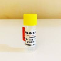 黄曲毒素B1单克隆抗体；黄曲毒素B1抗体；Aflatoxin B1（B1）抗体；黄霉毒素M1单克隆抗体；黄霉毒素M1抗体；Aflatoxin M1（M1）抗体