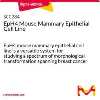 默克Merck EpH4 Mouse Mammary Epithelial Cell Line