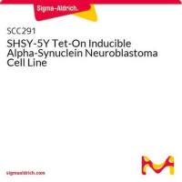 默克Merck SHSY-5Y Tet-On Inducible Alpha-Synuclein Neuroblastoma Cell Line