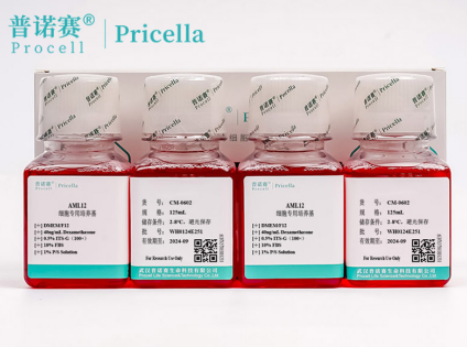 AML12细胞培养突破：专用培养基提升细胞活性≥85%技术解析