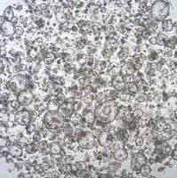 3dGRO® Duodenum Intestinal Organoids, Age 62 (Prep 85-D)