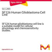 默克Merck SF126 Human Glioblastoma Cell Line