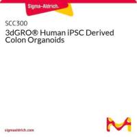 默克Merck 3dGRO® Human iPSC Derived Colon Organoids