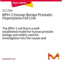 默克Merck BPH-1 Human Immortalized Benign Prostatic Hyperplasia Cell Line
