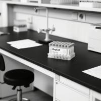 花生凝集素单克隆抗体；花生凝集素抗体；花生凝集素抗原；peanut agglutinin PNA抗体