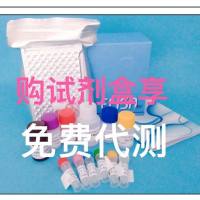 绵羊精子蛋白17(Sp17)ELISA试剂盒