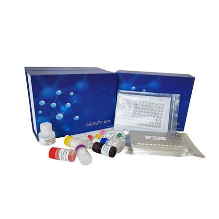 上海机纯人干扰素调节因子ELISA检测试剂盒特点介绍