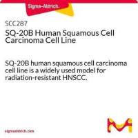 默克Merck SQ-20B Human Squamous Cell Carcinoma Cell Line