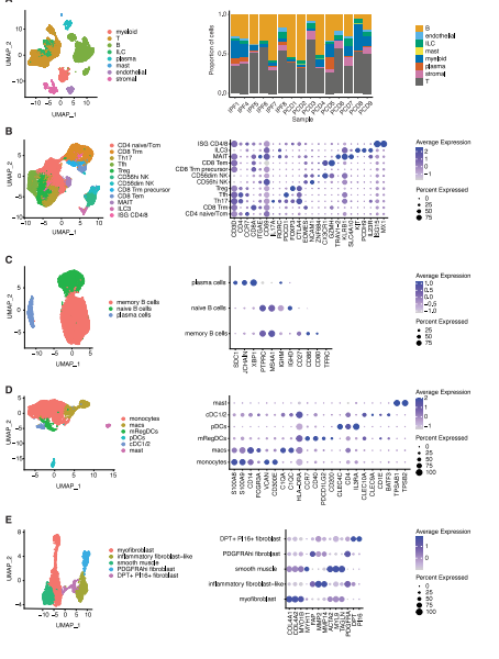 单细胞空间多组学揭示肛周克罗恩病瘘管新机制