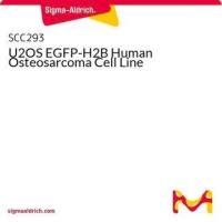 默克Merck U2OS EGFP-H2B Human Osteosarcoma Cell Line