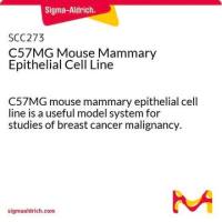 默克Merck C57MG Mouse Mammary Epithelial Cell Line