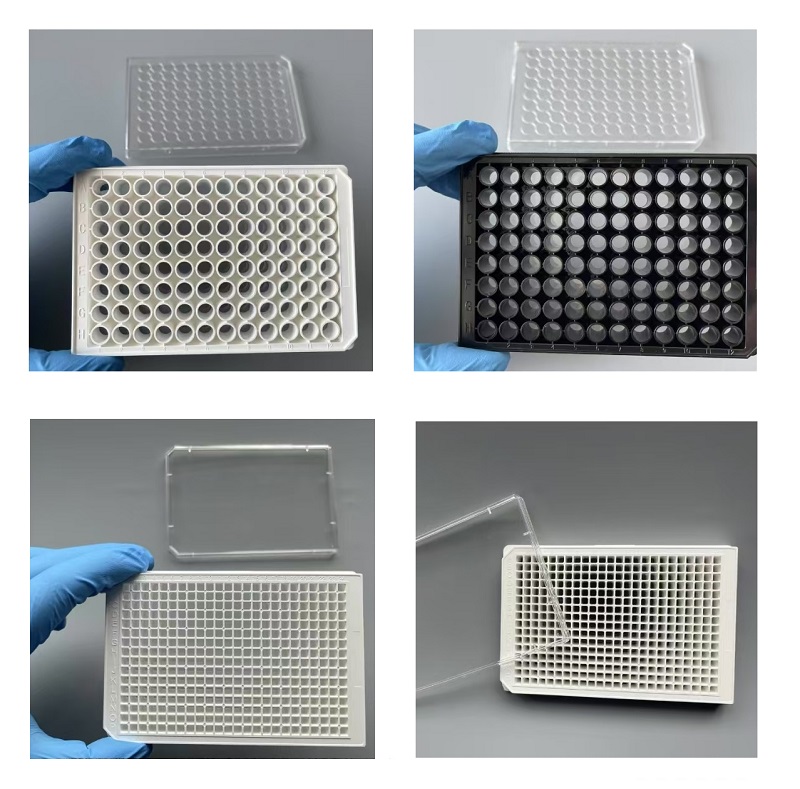 不止于仿生：类胶原+电子束灭菌，定义细胞培养新标准