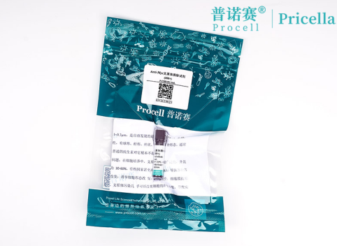 实验室必备！Anti-Myc试剂即用型设计，3分钟阻断支原体传播链